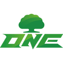 ONE Team