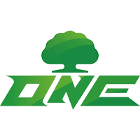 ONE Team